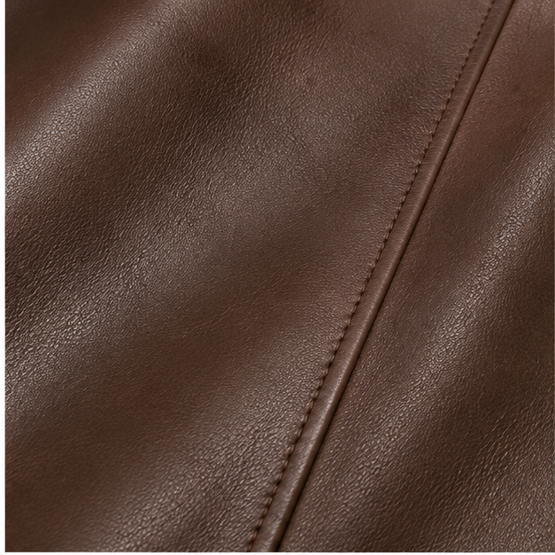 SWARCH AeroClassic Stream Leather Jacket